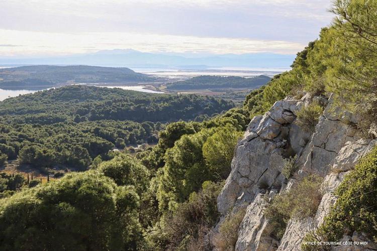 Villa Tamaris Gruissan Εξωτερικό φωτογραφία